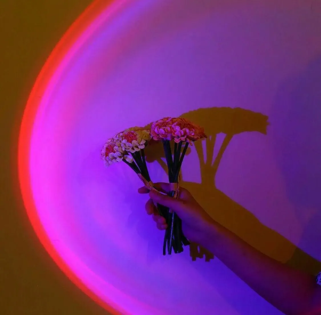 RGB 16 Colors Sunset Lamp™ gallery image 6